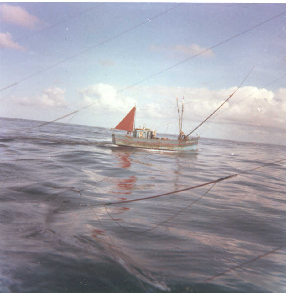 Campagne de pêche au thon sur le "Beau Rivage"
